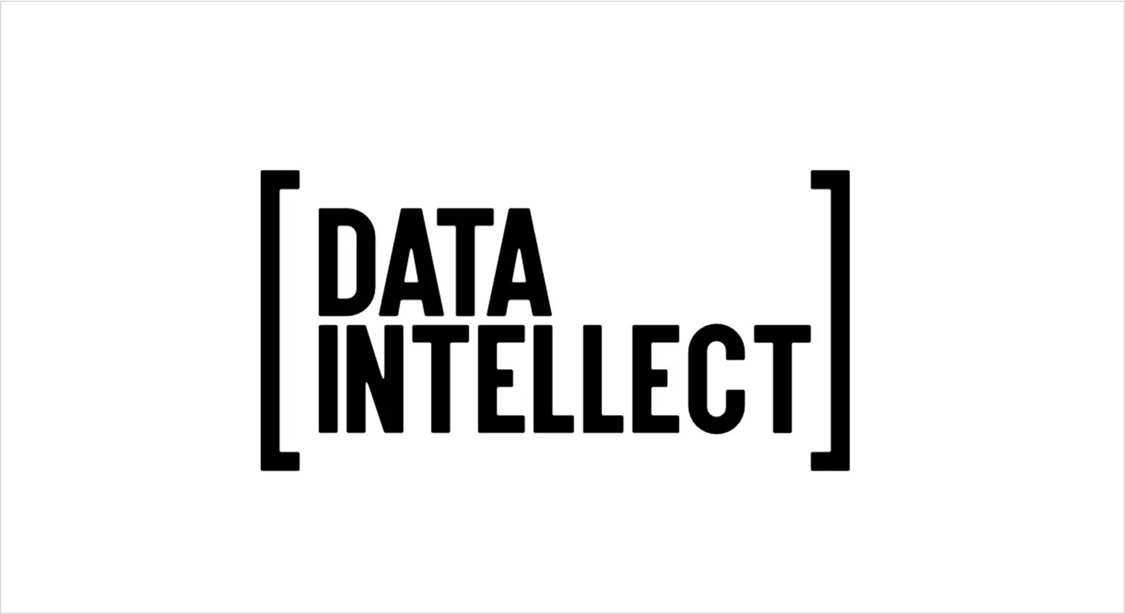 Data Intellect