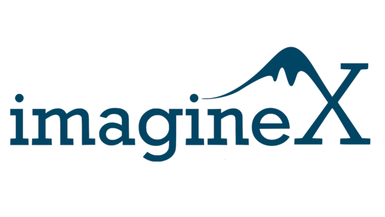 ImagineX